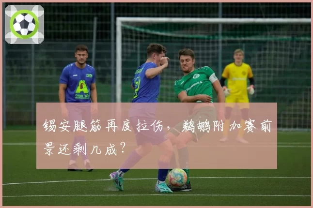 锡安腿筋再度拉伤，鹈鹕附加赛前景还剩几成？