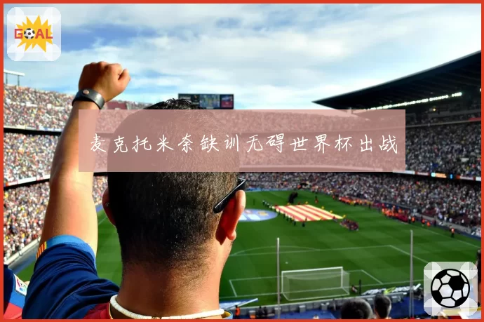 麦克托米奈缺训无碍世界杯出战