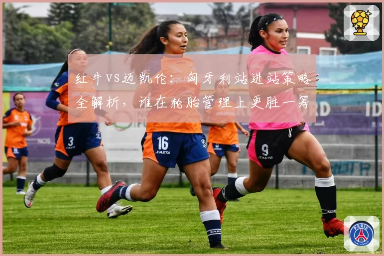 红牛vs迈凯伦：匈牙利站进站策略全解析，谁在轮胎管理上更胜一筹？