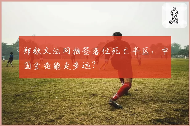 郑钦文法网抽签落位死亡半区，中国金花能走多远？