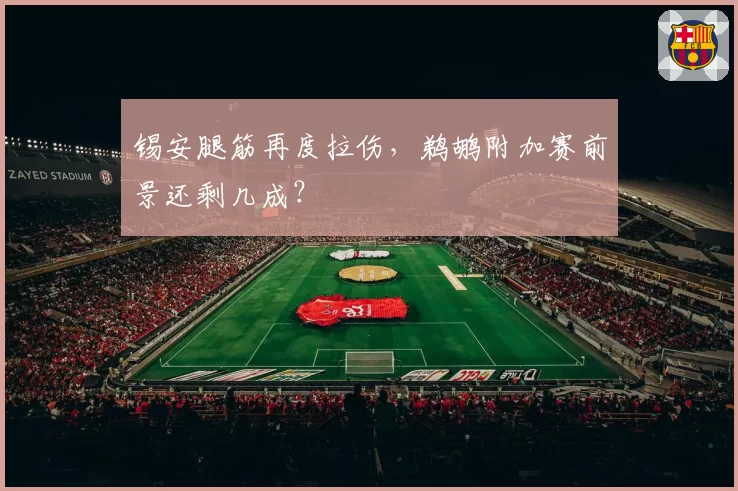 锡安腿筋再度拉伤，鹈鹕附加赛前景还剩几成？